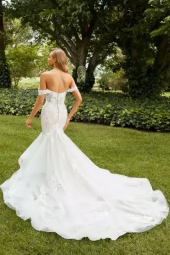 Indiana By Sophia Tolli $1 autoplay thumbnail