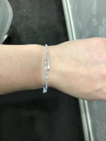 BRA02 $0 default Silver thumbnail