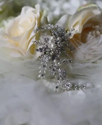 5031 $1 default Silver/Pearl thumbnail