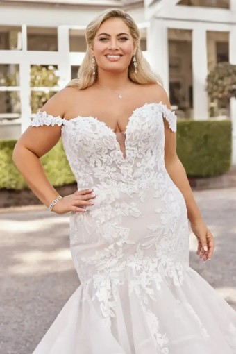Indiana By Sophia Tolli $3 Ivory thumbnail