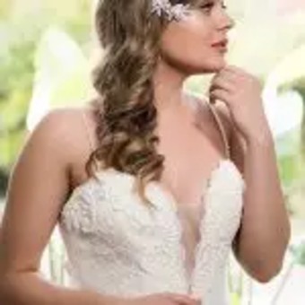 Scarlet By Peter Trends $1 Ivory thumbnail