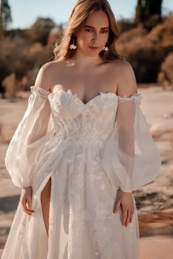 Sonoma By Peter Trends $2 Ivory/Ivory thumbnail