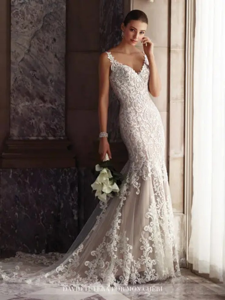 Amber By Sophia Tolli #0 default Ivory/Mocha picture