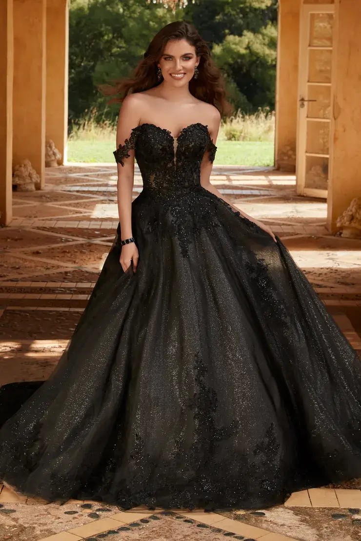 Rebekah By Sophia Tolli #0 default Black Black/Champagne picture