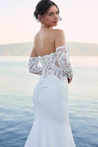 Lucie By Sophia Tolli Price Range: $1889.00-$4999.00 $3 Ivory thumbnail