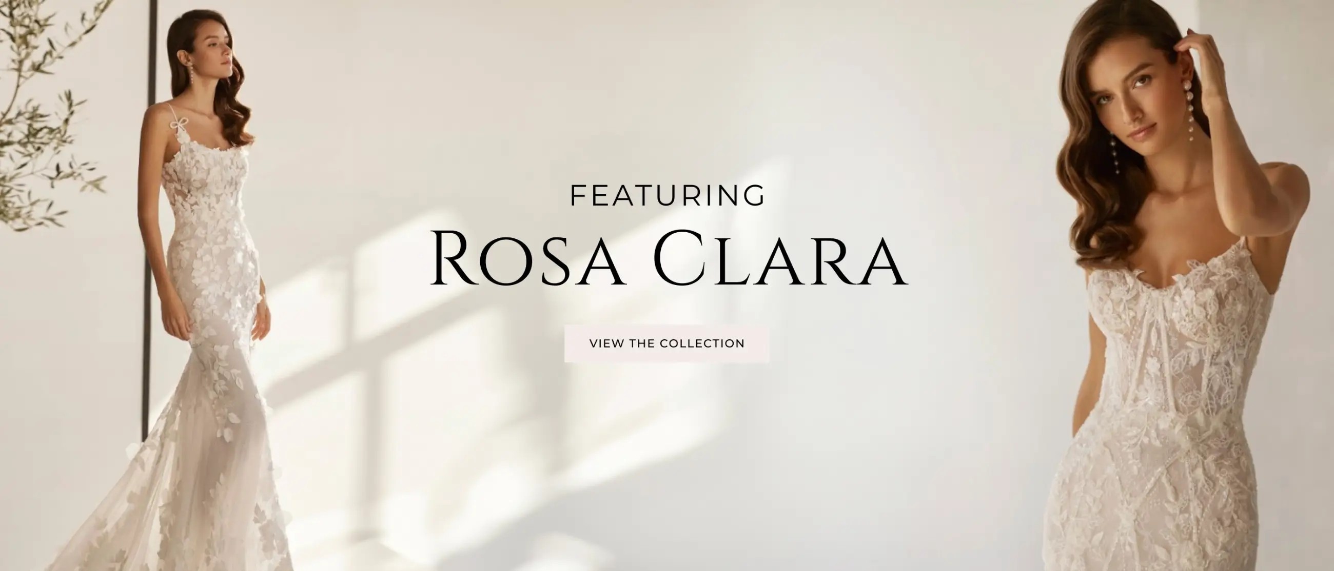 Rosa Clara Banner Desktop